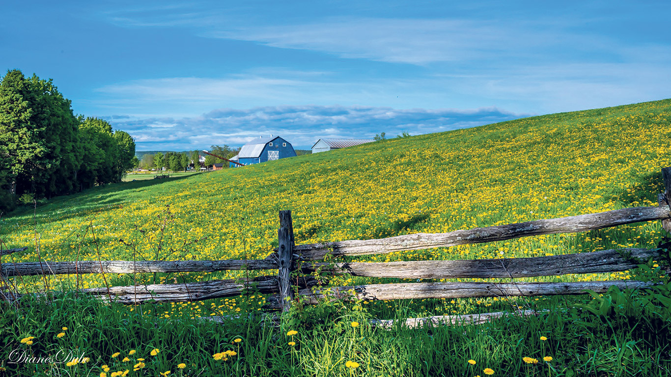 On dira ce qu’on voudra, mais avouez que Diane Dubé a le don de nous faire aimer les paysages agricoles et ruraux comme celui-ci, à Saint-André-de-Kamouraska.