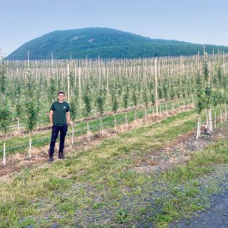 Maxime Brie a planté 20 000 arbres Gala, Ambrosia et Honeycrisp, en 2023, à son verger de Saint-Paul-d’Abbtsford, et 12 000 en 2024. Photo : gracieuseté de Maxime Brie