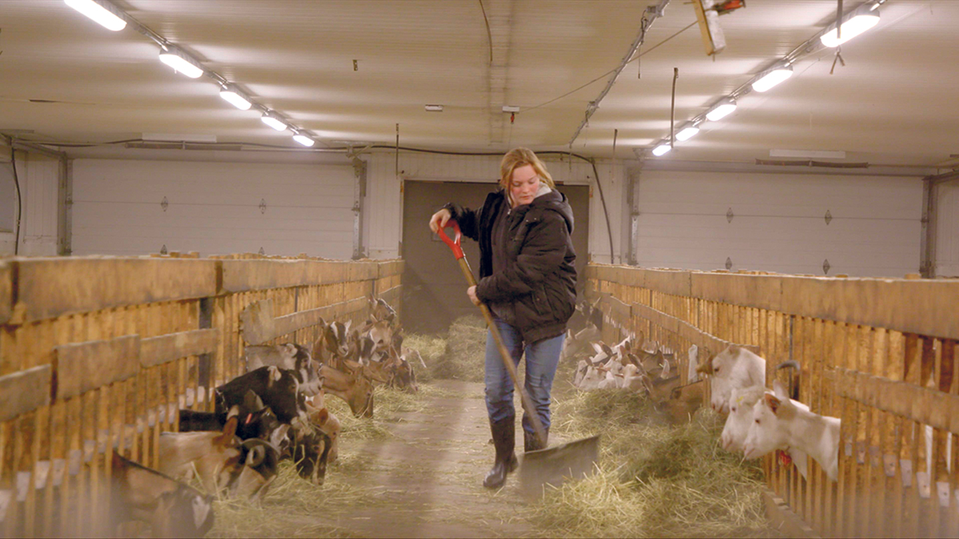 Victoria Pfeiffer aime travailler à la ferme familiale de chèvres laitières. Elle a développé sa passion pour l’agriculture dès son plus jeune âge. Photos : Gracieuseté de Productions KOTV