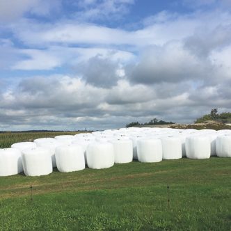 L’entrée en vigueur du nouveau Règlement sur la récupération et la valorisation des produits par les entreprises a contribué à la multiplication des points de dépôt pour la récupération de l’ensemble des plastiques agricoles. Photos : Gracieuseté d’AgriRÉCUP