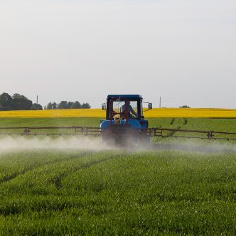Le glyphosate est l’herbicide le plus vendu dans le monde. Entre 1994 et 2014, les quantités utilisées annuellement sont passées de 16 millions de kilogrammes à 79 millions de kilogrammes. Photo : Shutterstock