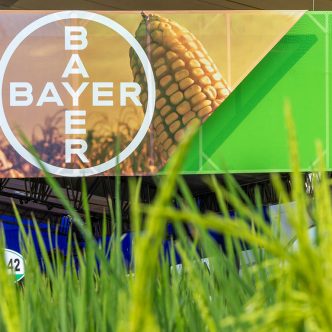 Si les poursuites contre Bayer se poursuivent, certains législateurs croient que l’entreprise pourrait retirer le Roundup du marché américain, obligeant les agriculteurs à se tourner vers des alternatives chinoises. Photo : Shutterstock