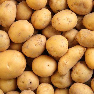 Une équipe de chercheurs a examiné des variétés de pommes de terre sauvages originaires des Andes, dans le but de développer une pomme de terre plus résistante à la sécheresse pour les marchés nord-américains. Crédit : Shutterstock