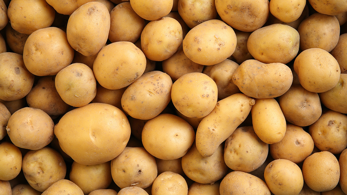 Une équipe de chercheurs a examiné des variétés de pommes de terre sauvages originaires des Andes, dans le but de développer une pomme de terre plus résistante à la sécheresse pour les marchés nord-américains. Crédit : Shutterstock