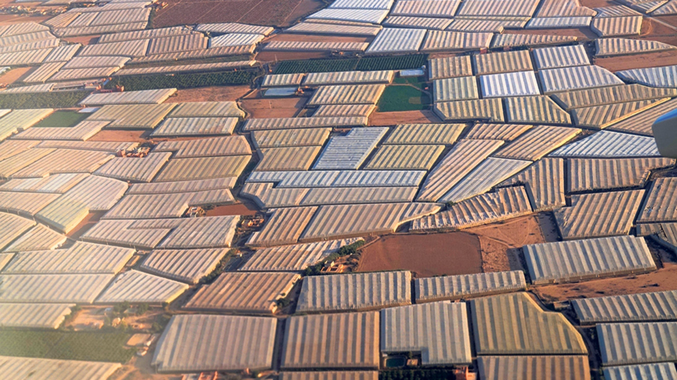 Au Maroc, la principale province de production compte 20 000 hectares de serres, éclairées par un soleil ardent 12 mois par année.Photo : Shutterstock