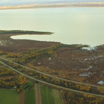 Le pourtour du lac Saint-Pierre abrite la plus importante plaine inondable en eau douce du Québec et du fleuve Saint-Laurent. Il est reconnu par l’UNESCO comme un haut lieu de biodiversité. Photo : Julie Ruiz