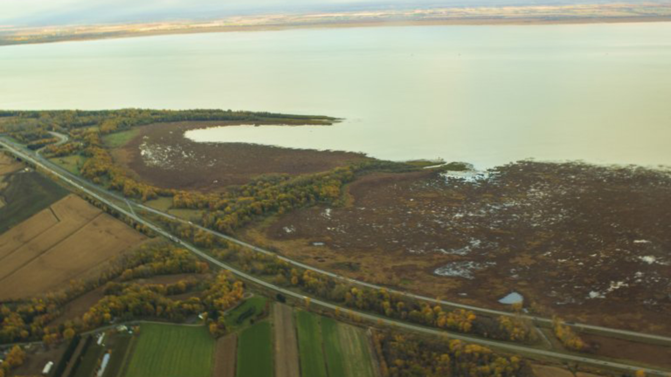 Le pourtour du lac Saint-Pierre abrite la plus importante plaine inondable en eau douce du Québec et du fleuve Saint-Laurent. Il est reconnu par l’UNESCO comme un haut lieu de biodiversité. Photo : Julie Ruiz
