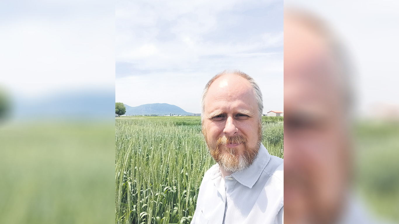 Le chercheur Michel McElroy effectue de tests de régie dans le blé d’automne et travaille également à améliorer les cultivars de blé pour rendre le plant plus résistant aux maladies et plus productif. Photo : Gracieuseté du CÉROM