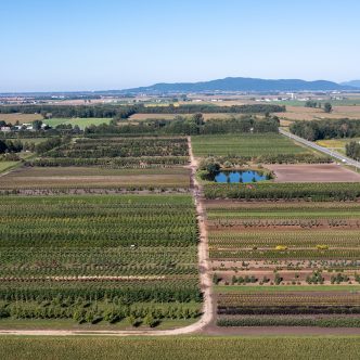 Outre le centre de jardinage, la Pépinière Abbotsford compte 87 hectares de production (en serres, en contenants et en champs), à Saint-Paul-d’Abbotsford, en Montérégie.