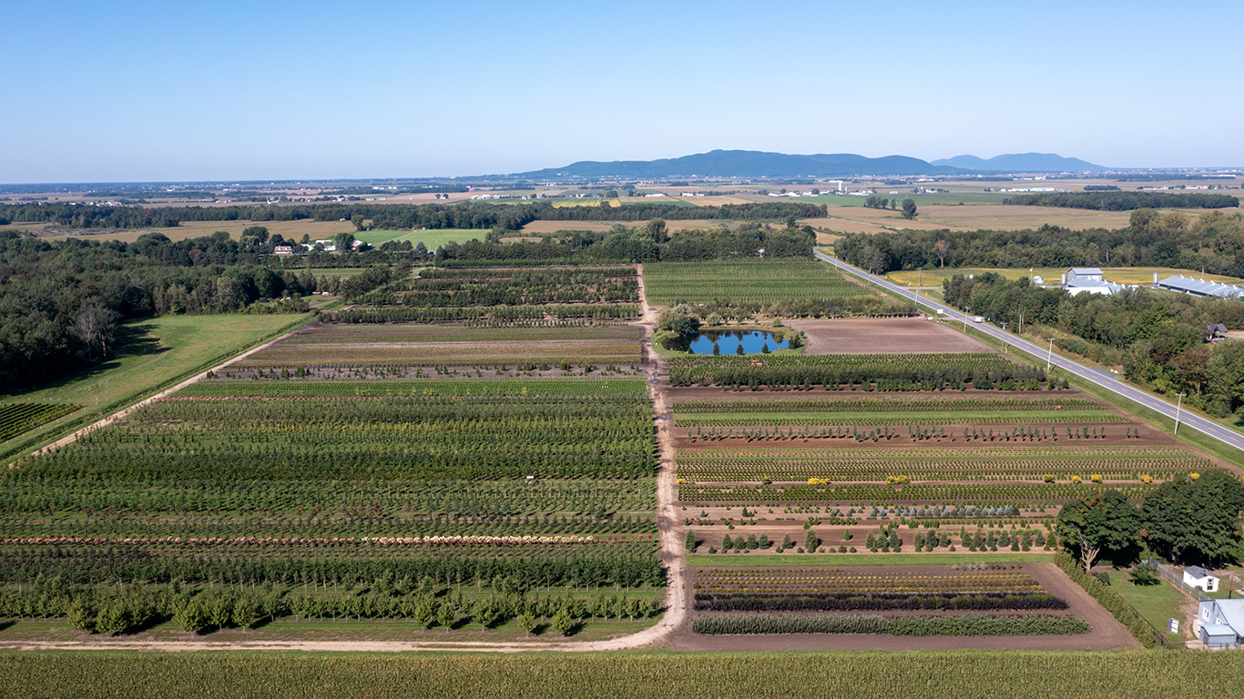 Outre le centre de jardinage, la Pépinière Abbotsford compte 87 hectares de production (en serres, en contenants et en champs), à Saint-Paul-d’Abbotsford, en Montérégie.