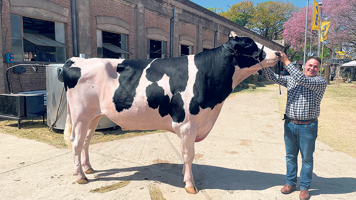 Éric Hétu prend ici la pose avec le taureau champion d’une exposition provinciale, en Argentine, où il a été invité comme juge, l’automne dernier. Photo : Gracieuseté d’Éric Hétu