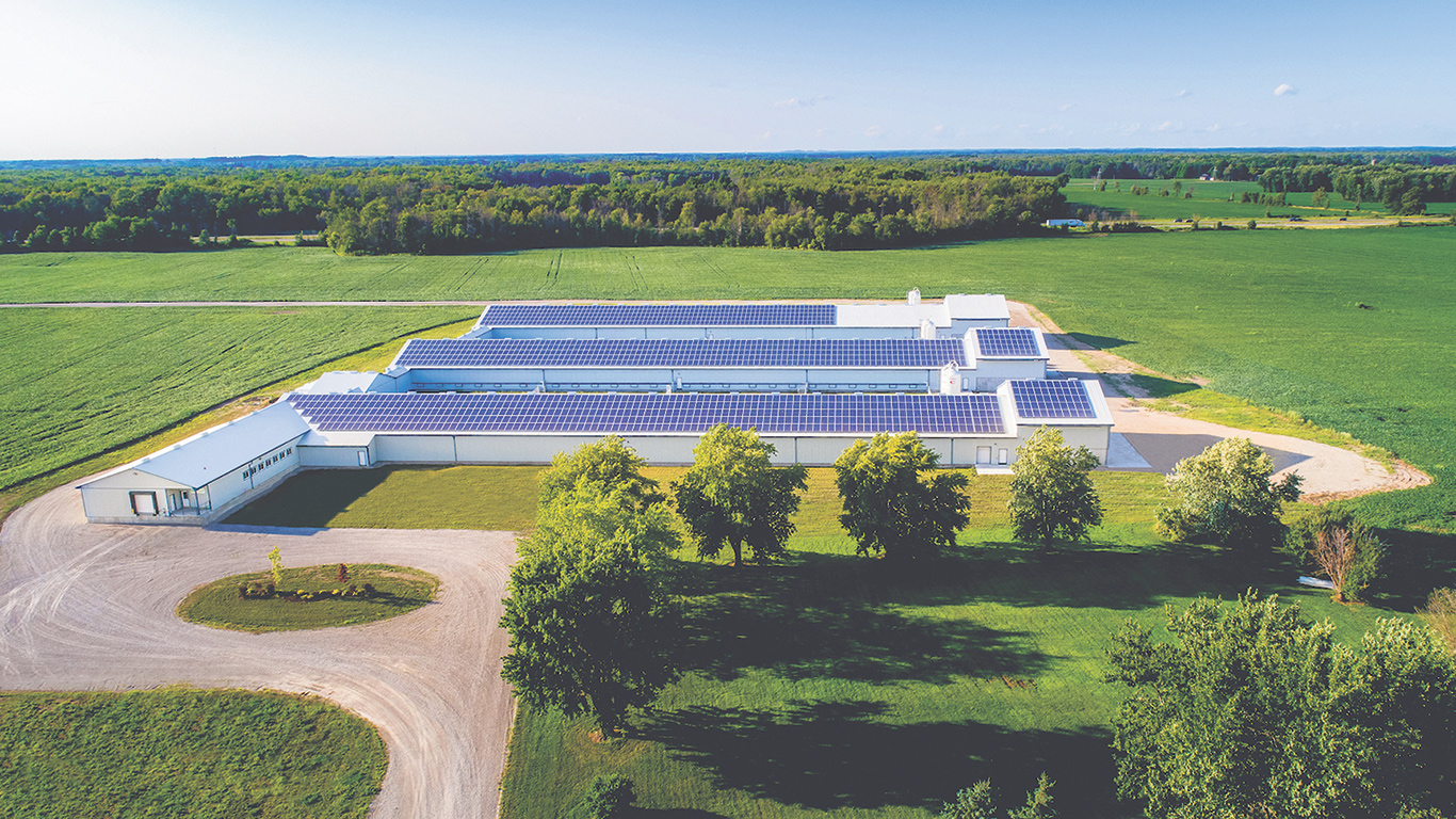 Les Fermes Burnbrae exploitent depuis 2019 des installations alimentées à l’énergie solaire en Ontario. Photo : Gracieuseté des Fermes Burnbrae