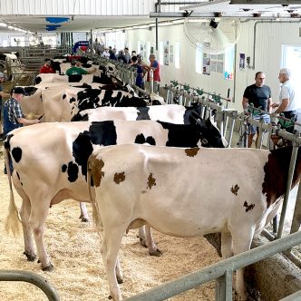 Depuis 2011, quelque 2 M$ ont été investis dans les installations de la Ferme Gilles Lapointe et Fils. Crédits photo : Marie-France Létourneau