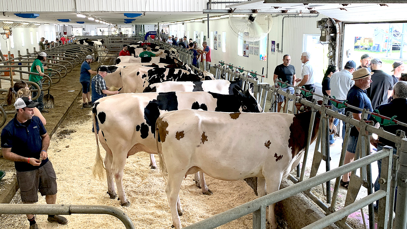 Depuis 2011, quelque 2 M$ ont été investis dans les installations de la Ferme Gilles Lapointe et Fils. Crédits photo : Marie-France Létourneau