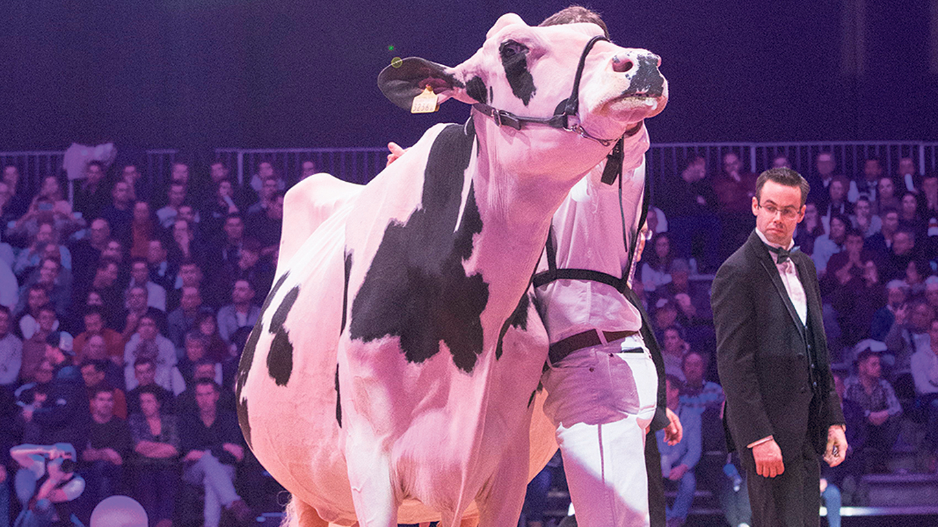 Joël Lepage, producteur à Amqui dans le Bas-Saint-Laurent, garde précieusement en mémoire l’invitation qu’il a reçue en 2020 pour juger à la Swiss Expo, un événement de grande envergure en Europe. Photo : Gracieuseté de Swiss Expo 2022