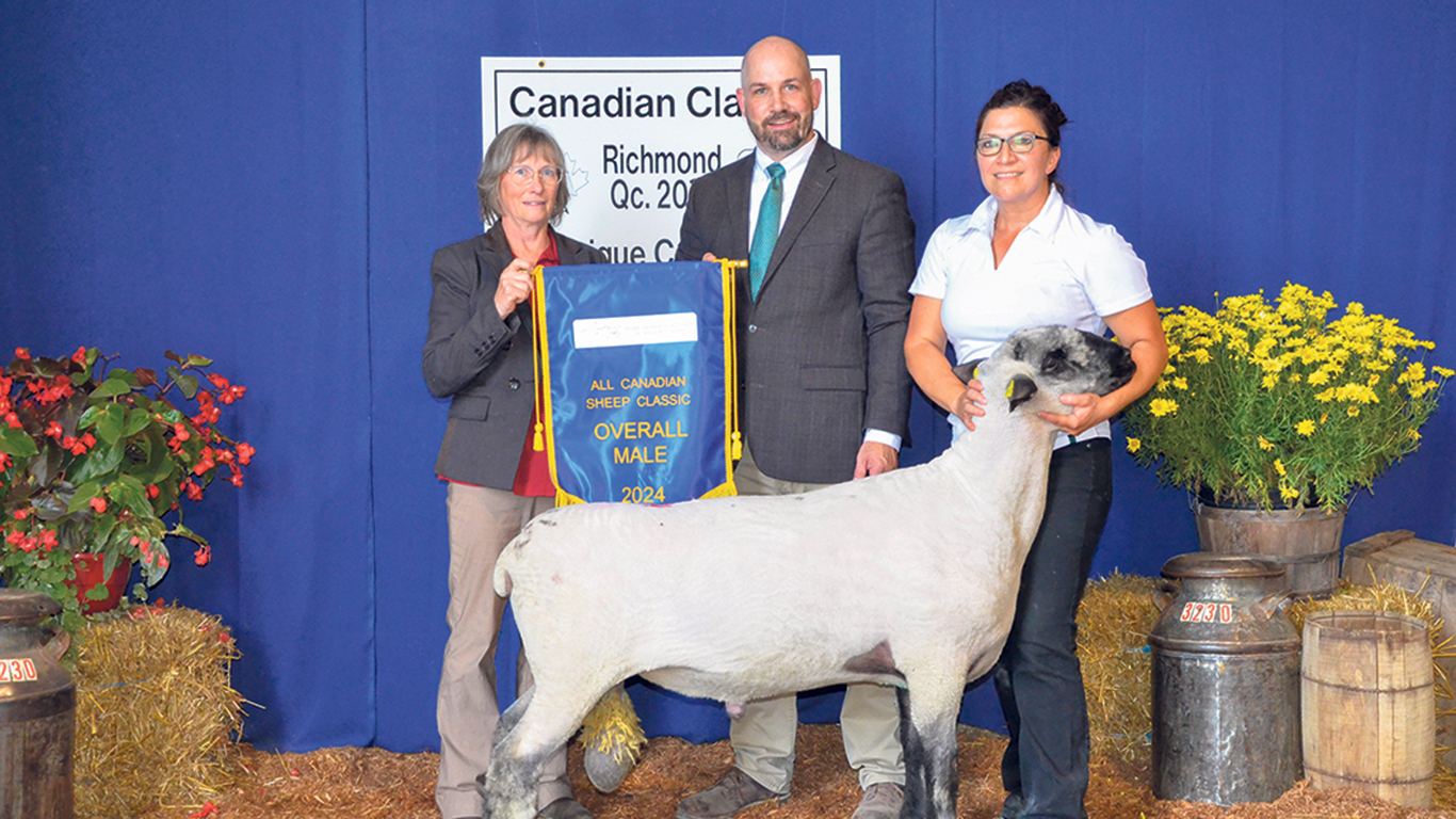 L’éleveuse québécoise Johanne Cameron (à droite), de la Bergerie Marovine, s’est démarquée en obtenant le titre Champion suprême avec son bélier de race Hampshire.