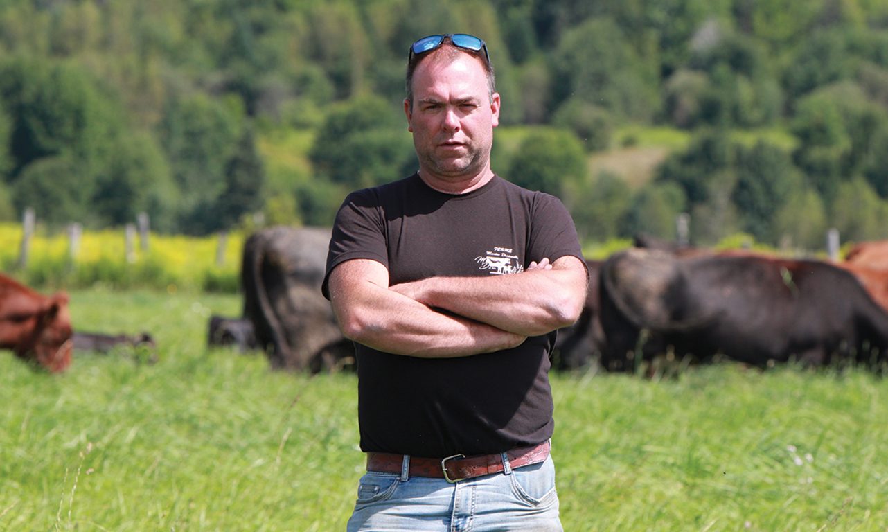 L’éleveur Martin Drainville doit conjuguer avec moins de liquidités dans une période cruciale de sa production de vache-veau. Photos : Myriam Laplante El Haïli/TCN