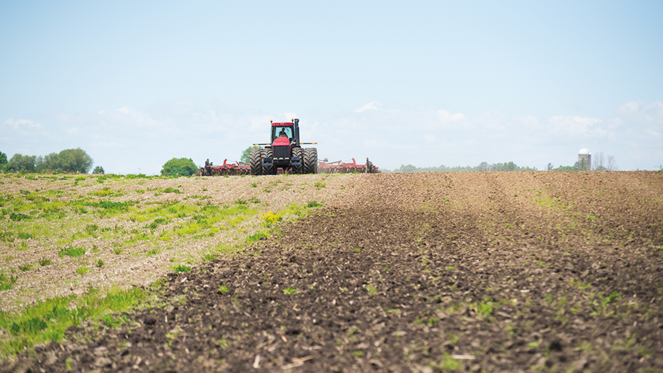 Le milieu agricole connaît une hausse nettement moins élevée des dossiers d’insolvabilité que le secteur commercial. Photo : Martin Ménard/Archives TCN