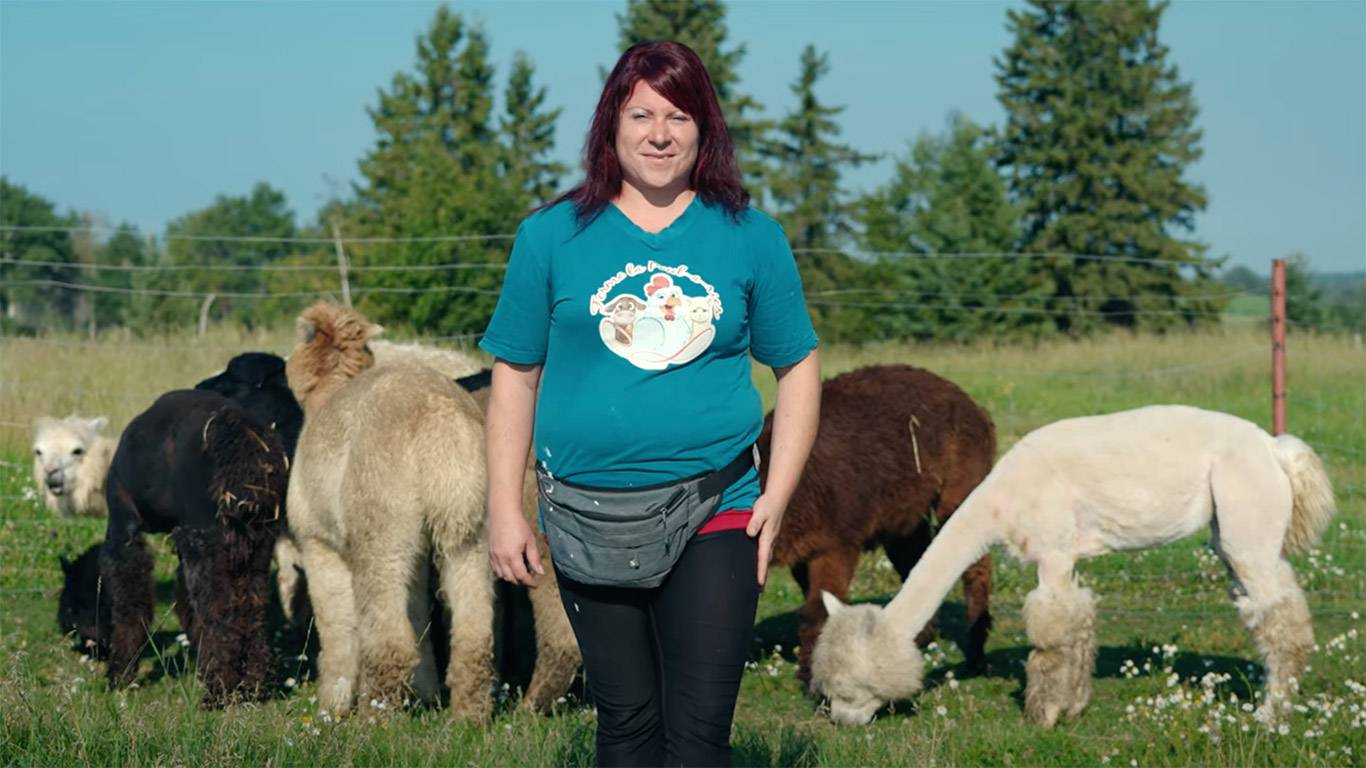 Mélanie Rivard possède plus d’une trentaine d’espèces animales à la Ferme la Poul-a-ries, dans la petite municipalité de Poularies. En plus de faire l’élevage d’une foule d’animaux, elle vend et transforme elle-même plusieurs produits comme des semelles en fibre d’alpaga. Photos : FRAQ