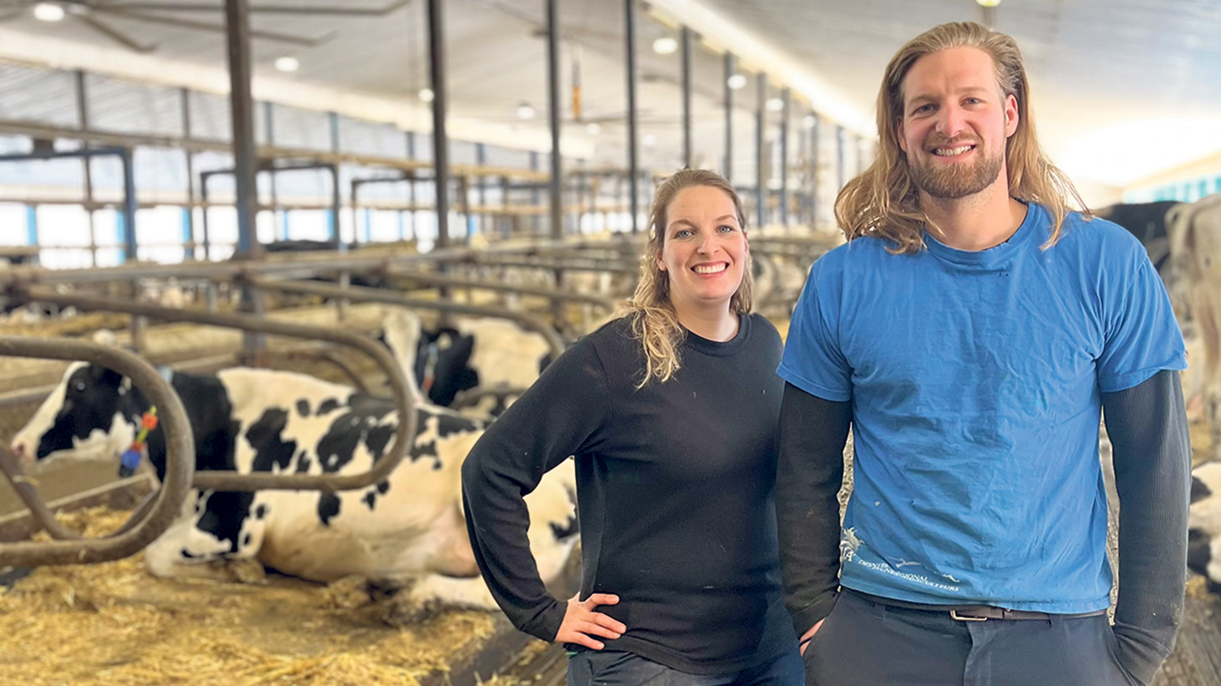 Au terme d’une étude menée à leur ferme, des producteurs d’Hébertville-Station, au Lac-Saint-Jean, Olivier et Pascale Maltais, ont été surpris de constater qu’une vache a le potentiel de subir un stress de chaleur générant des baisses de production laitière et du taux de gras, même lorsqu’il fait 20 degrés Celsius. Photo : Gracieuseté de la Ferme Maltais