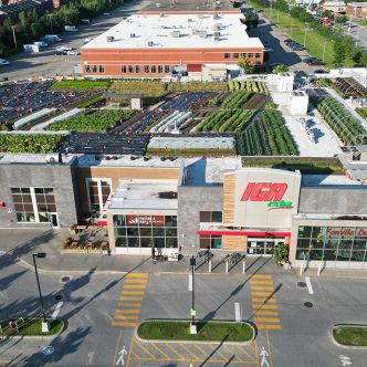 Le toit d’un supermarché IGA de l’arrondissement Saint-Laurent, à Montréal, accueille un potager urbain de 29 000 pieds carrés. Photos : Gracieuseté de La Ferme de Rue Montréal