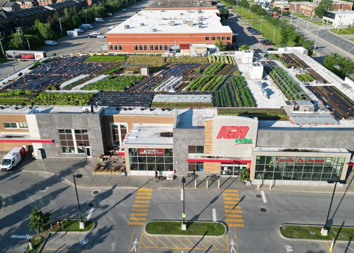 Le toit d’un supermarché IGA de l’arrondissement Saint-Laurent, à Montréal, accueille un potager urbain de 29 000 pieds carrés. Photos : Gracieuseté de La Ferme de Rue Montréal