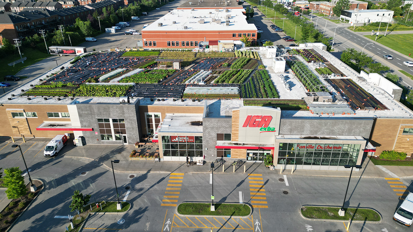 Le toit d’un supermarché IGA de l’arrondissement Saint-Laurent, à Montréal, accueille un potager urbain de 29 000 pieds carrés. Photos : Gracieuseté de La Ferme de Rue Montréal