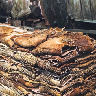 Les peaux de bovins récupérées par les gros abattoirs du Québec comme Montpack International sont expédiées par conteneurs dans des tanneries en Italie ou en Chine.