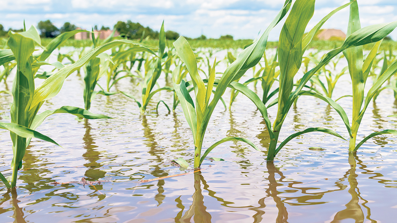 Notre réflexe est de se sentir impuissants devant certaines situations ayant des conséquences sur la production et la distribution de denrées agricoles, tels que les changements climatiques, la pandémie et le conflit Russie-Ukraine. Quelques mesures sont mises en place pour atténuer l’insécurité alimentaire, comme les banques alimentaires ou les aides fiscales, mais nous avons également un rôle à jouer à plus long terme. Photo : Shutterstock.com