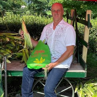 En date du 30 juillet, Alain Sauriol produisait plus de maïs que ce qu’il parvenait à écouler à sa ferme de Saint-Eustache, près de Montréal. Photo : Gracieuseté des Jardins Agripro