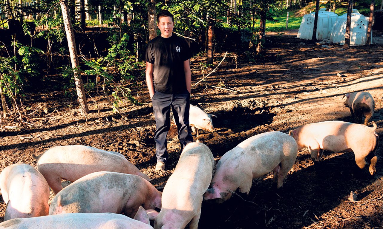 Arthur va voir ses porcs quotidiennement pour s’assurer qu’ils ont assez de grains et d’eau. Photos : Gracieuseté de Marie-Eve Doyon