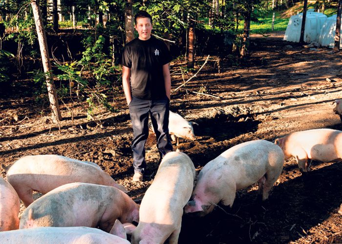 Arthur va voir ses porcs quotidiennement pour s’assurer qu’ils ont assez de grains et d’eau. Photos : Gracieuseté de Marie-Eve Doyon