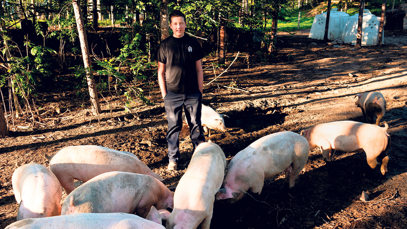 Arthur va voir ses porcs quotidiennement pour s’assurer qu’ils ont assez de grains et d’eau. Photos : Gracieuseté de Marie-Eve Doyon