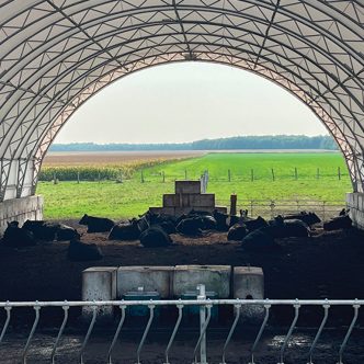 Pour éviter le gaspillage de foin, la Ferme J.N. Beauchemin et Fils a démarré une production de bovins de boucherie en 2020. Photo : Gracieuseté de Renaud Beauchemin