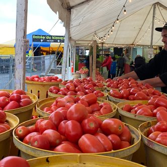 Mathieu Beauregard s’affairant autour des gros récipients de tomates italiennes, lors du passage de La Terre à la Ferme chez Mario, le 22 août. Photo : Caroline Morneau/TCN