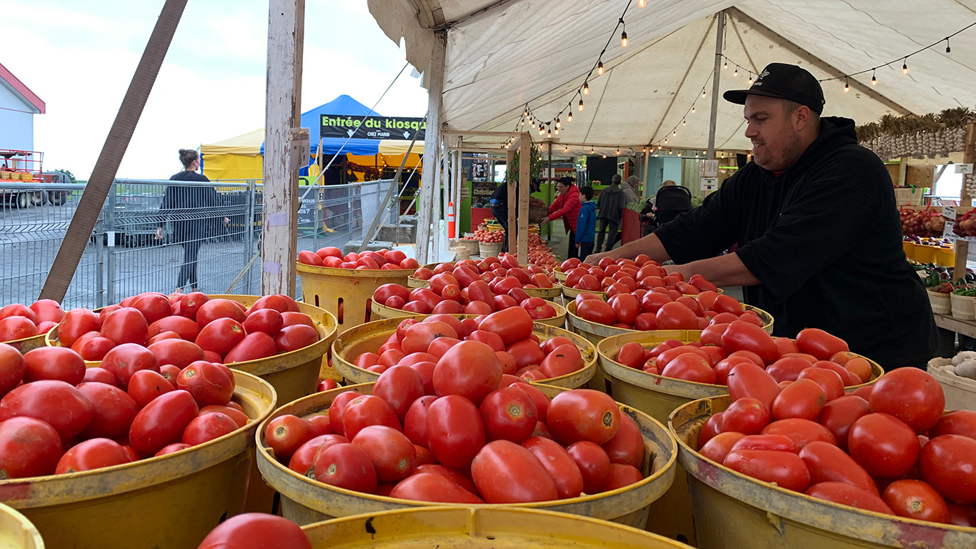 Mathieu Beauregard s’affairant autour des gros récipients de tomates italiennes, lors du passage de La Terre à la Ferme chez Mario, le 22 août. Photo : Caroline Morneau/TCN