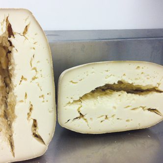 Le fromage présenté sur la photo a un défaut dû au gonflement butyrique. Photo : Centre d’expertise fromagère du Québec