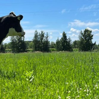 C’est une centaine de têtes, dont 48 vaches en lactation, qui profitent des bons soins de nos apprentis. Photos : ITAQ