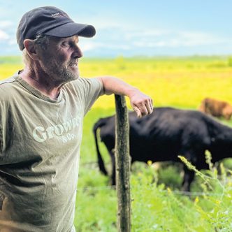 La Ferme Highland Lotbinière fait l’élevage de bovins depuis 20 ans et permet aux propriétaires de se sortir un salaire très décent, affirment-ils. Leur secret? Produire des carcasses de qualité avec constance, offrir des conditions de bien-être animal sans compromis et cultiver des fourrages de qualité, sans pesticides et sans intrants chimiques. Photos : Martin Ménard / TCN