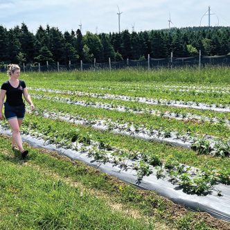 Les propriétaires de la Ferme du Phare doivent composer avec le vent, étant situés au pied du premier parc éolien du Québec. Photos : Martin Ménard/TCN