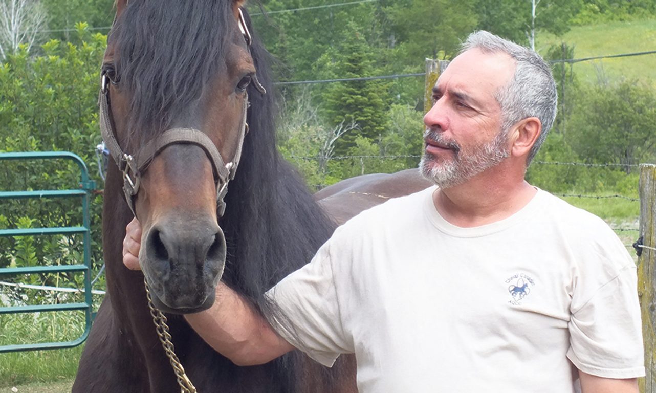 Mario Bélanger élève des chevaux Canadiens depuis trois décennies. Photo : Gracieuseté de Mario Bélanger