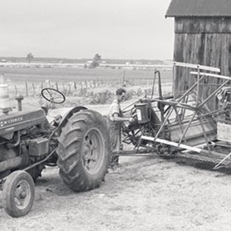 En 1955, l’agronome et photographe Omer Beaudoin a immortalisé Origène Lacasse, un cultivateur de Sainte-Anne-des-Plaines, avec sa moissonneuse. Photo : Omer Beaudoin/BANQ