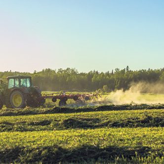 Les producteurs doivent assurer la profitabilité de leur entreprise d’abord. Photo : Ferme R.G.C. Témis