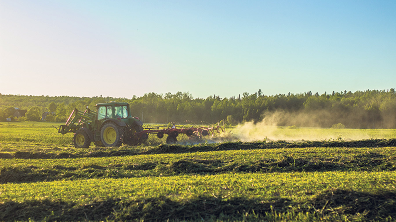 Les producteurs doivent assurer la profitabilité de leur entreprise d’abord. Photo : Ferme R.G.C. Témis