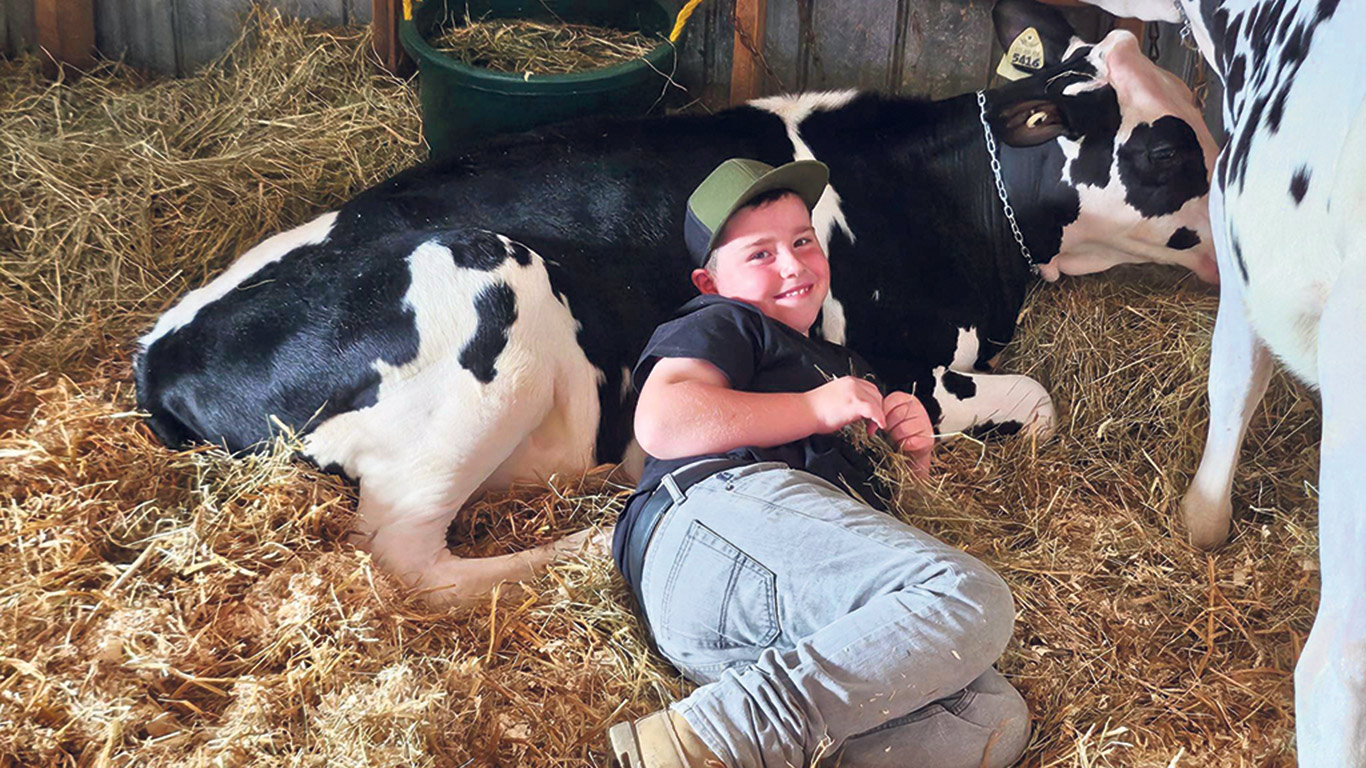 Maxime Boutin, de Saint-Georges, raconte : « Quand du monde me demande pourquoi je fais de l’exposition, bien, c’est pour des moments comme ça. Voir mon fils Alexis avec un sourire comme ça faire du ‘‘peau à peau’’ avec sa génisse, ça vaut tout l’or du monde. Ça me rappelle aussi moi à son âge. »