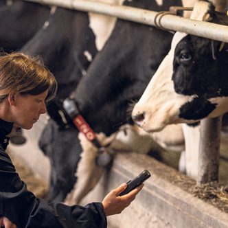 La cheffe de l’agriculture durable chez Agropur, Sophie Neveux, souhaite évaluer les effets de l’utilisation d’un ingrédient à base de lin dans la ration des vaches laitières sur leurs émanations de méthane. Photo : Gracieuseté d’Agropur