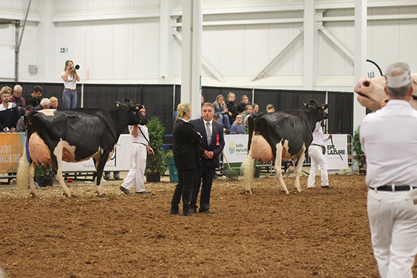 Pierre Boulet a jugé l’exposition pour la race Holstein avec sa sœur, Mélanie.