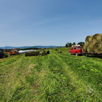 Une quinzaine de producteurs ont pris part à la grande corvée qui a eu lieu du 26 au 28 juillet. Photo : Gracieuseté de la Fédération de l’UPA de la Gaspésie–Les-Iles