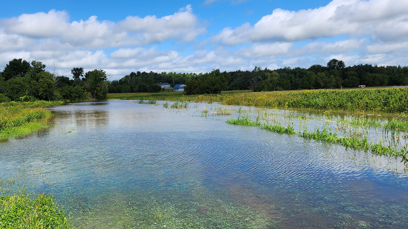 Trois jours après le passage des restes de l’ouragan Debby, des champs de framboises (sur la photo), mais aussi de fraises et de soya sont encore inondés à la Bleuetière Point du jour, si bien qu’on peut y circuler en kayak. Photo : Gracieuseté de la Bleuetière Point du jour