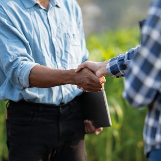 Le consultant financier est le premier à intervenir. Sa mission consiste à réaliser un examen détaillé de la situation financière de l’agriculteur insolvable. Pour ce faire, il le rencontre, effectue une visite sur place et prépare un inventaire de ses actifs ainsi qu’un état détaillé de son exploitation. Photo : Shutterstock